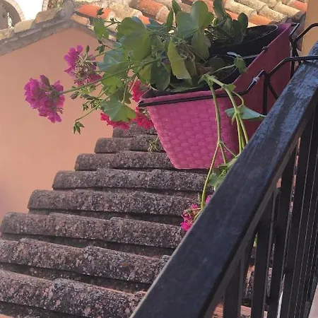 Madomus Appartement Pula